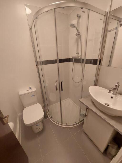 Newly Refurbished Studio لندن المظهر الخارجي الصورة